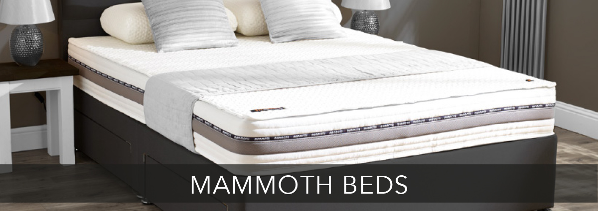 mammoth beds and mattresses