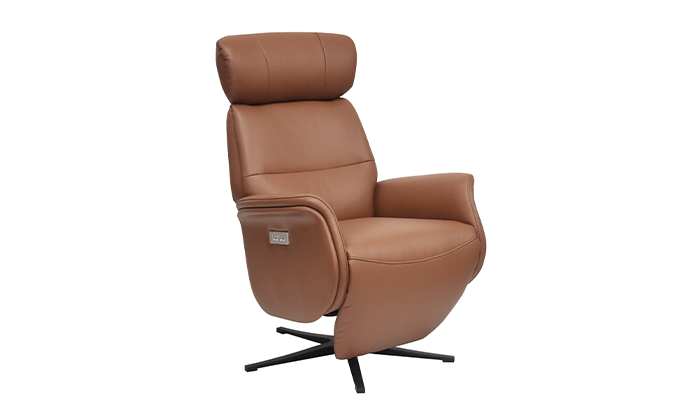 Michigan Leather (GFA)